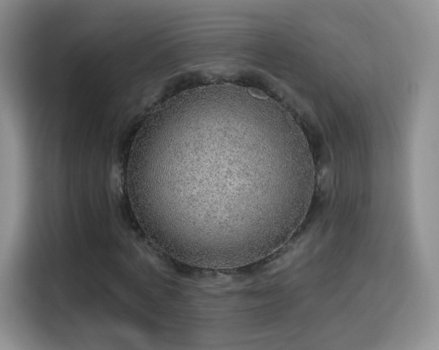 X0000115360772200911101156
