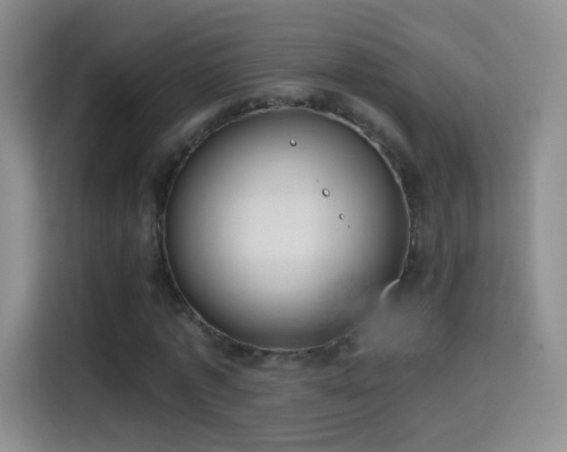 X0000115360773200911101156