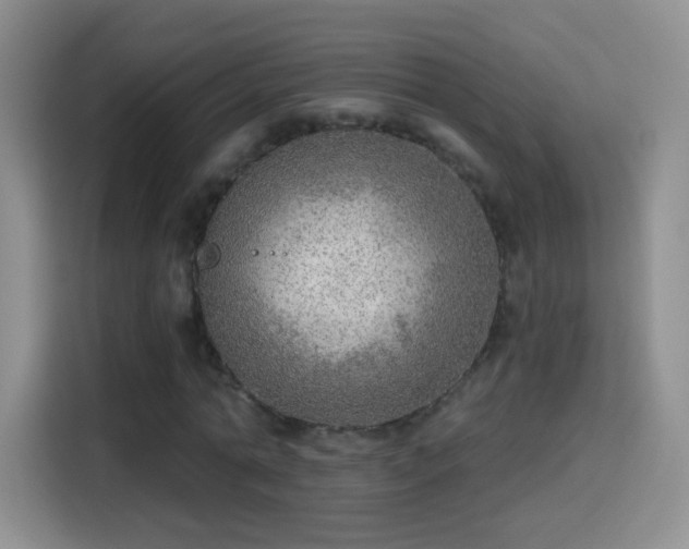 X0000115360774200911101156