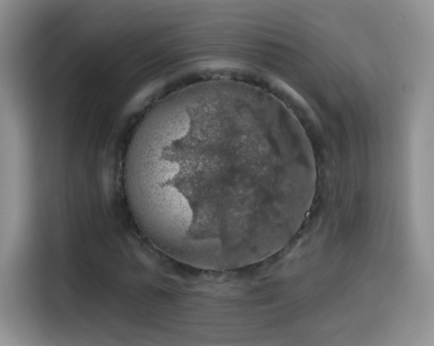 X0000115360775200911101156