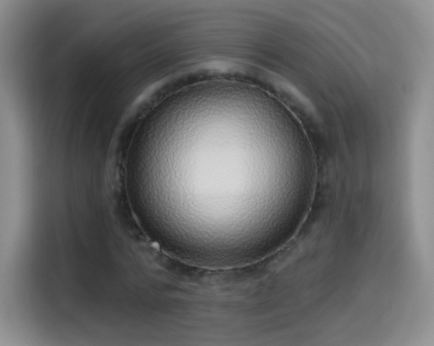 X0000115360776200911101156