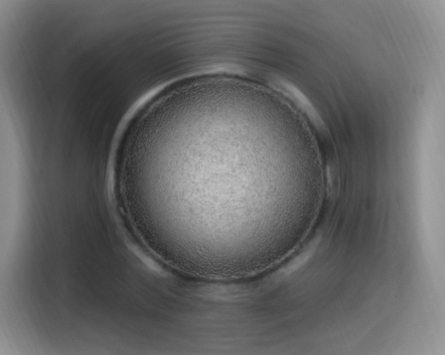 X0000115360780200911101156