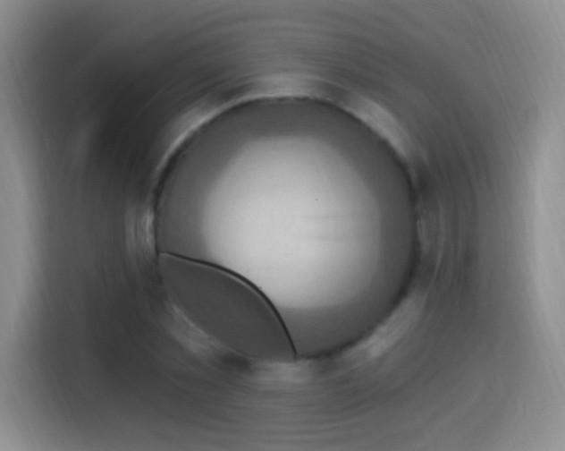X0000115360781200911101155