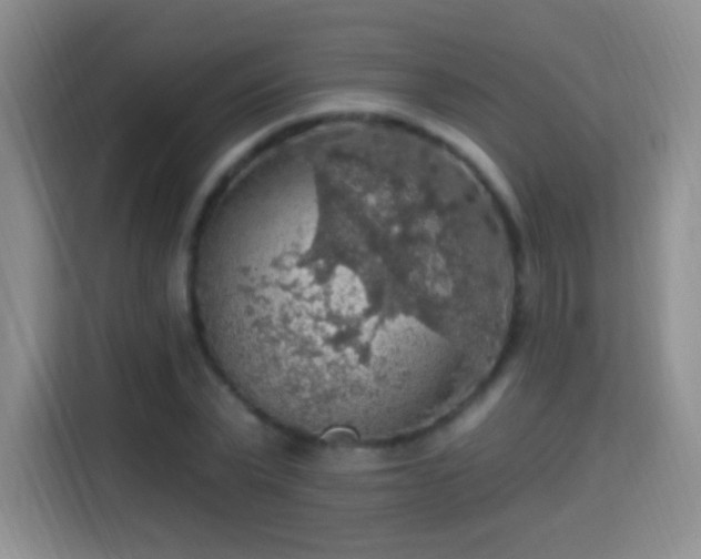 X0000115360783200911101155
