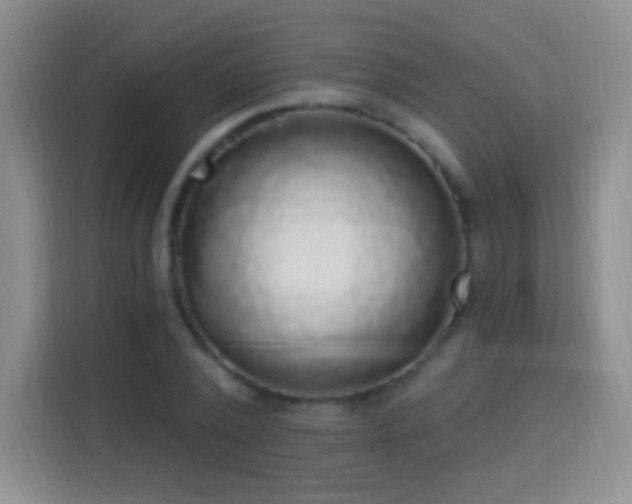 X0000115360784200911101155