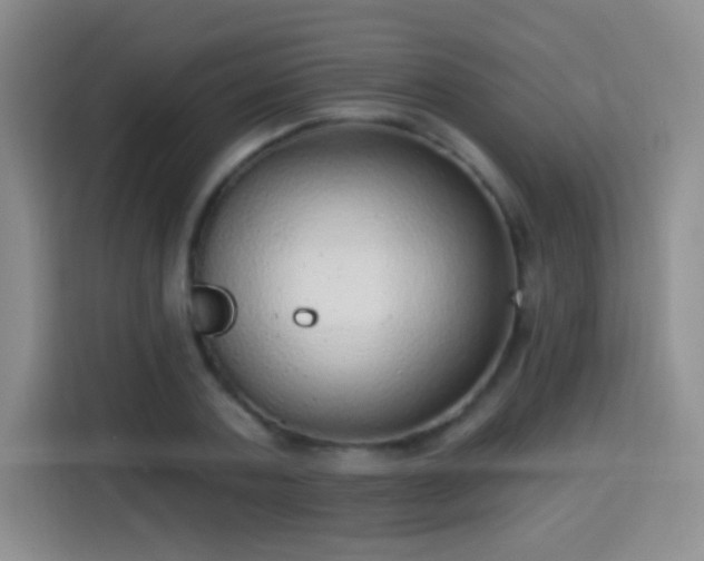 X0000115360787200911101155