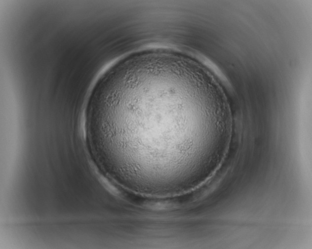 X0000115360791200911101155