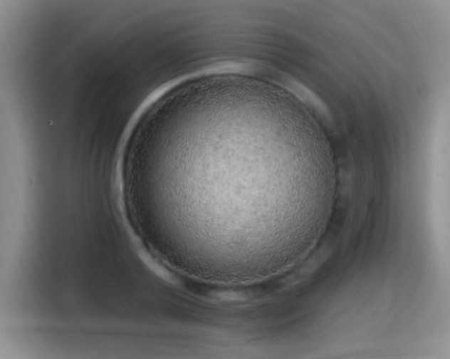 X0000115360792200911101155