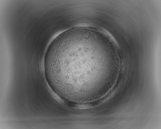 X0000115360795200911101155
