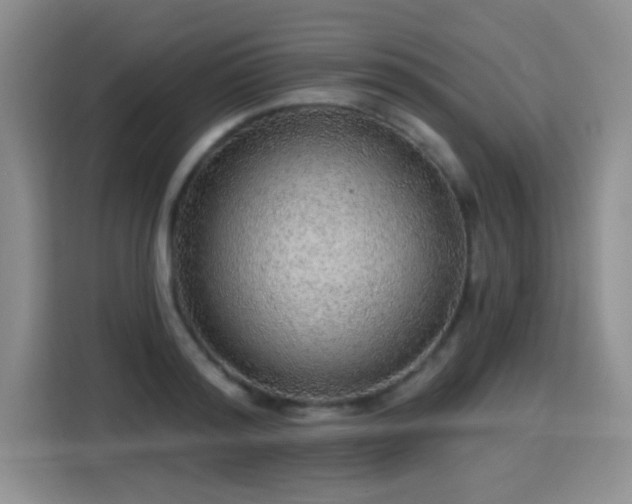 X0000115360796200911101155