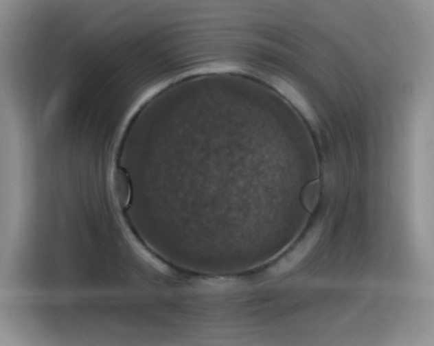 X0000115360797200911101155
