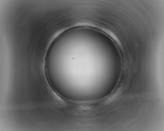 X0000115360799200911101155