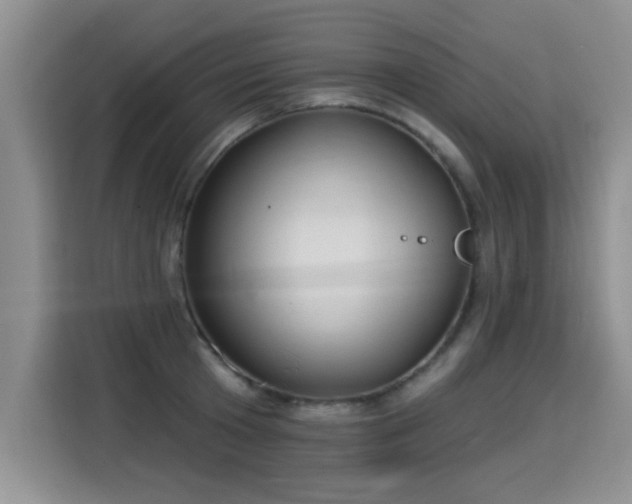 X0000115360801200911101155