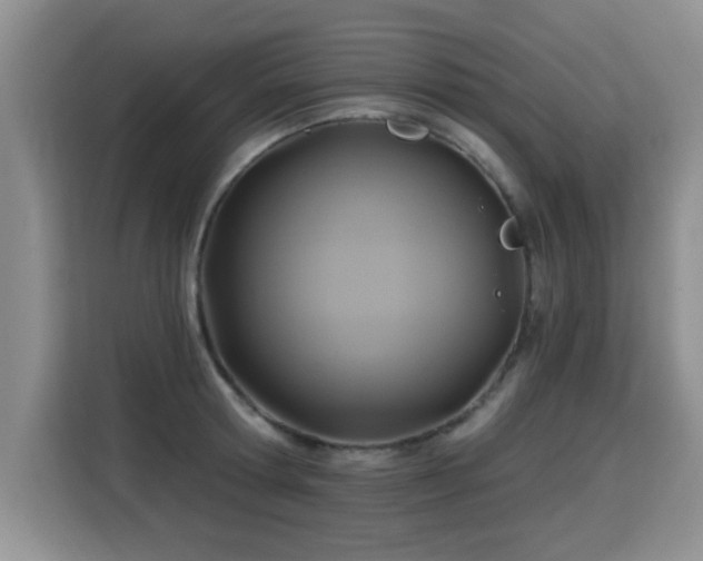 X0000115360802200911101155