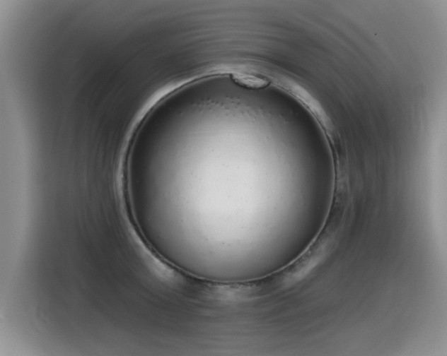 X0000115360803200911101155