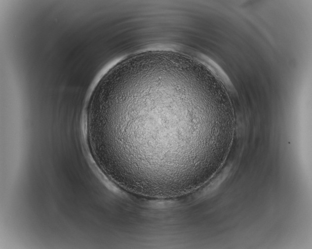 X0000115360804200911101155