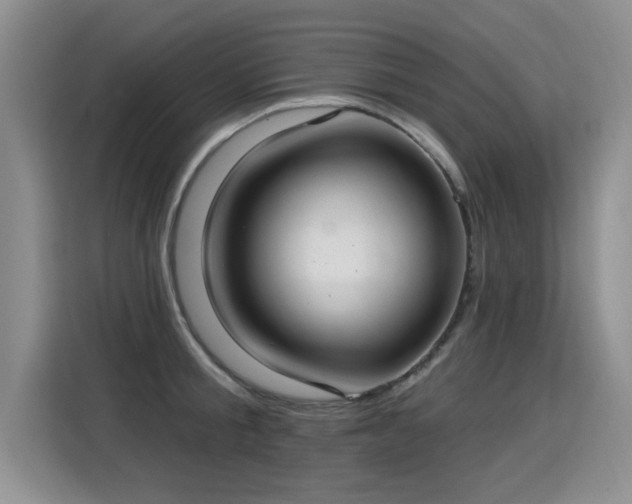 X0000115360805200911101155