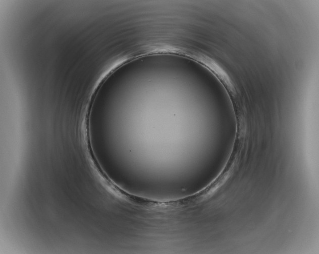 X0000115360806200911101155