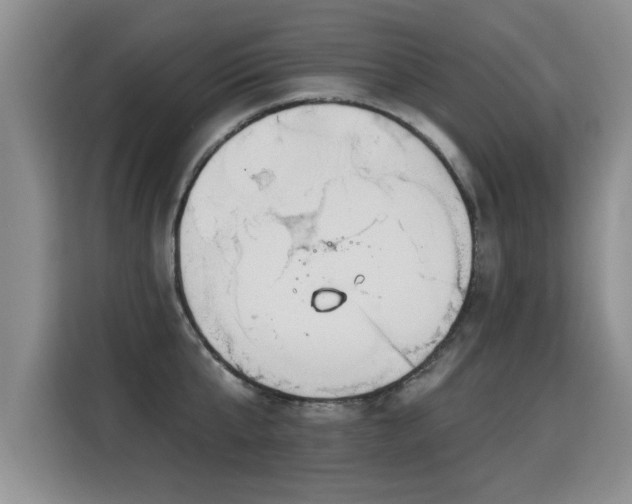 X0000115360807200911101155