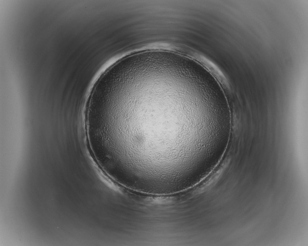 X0000115360808200911101155