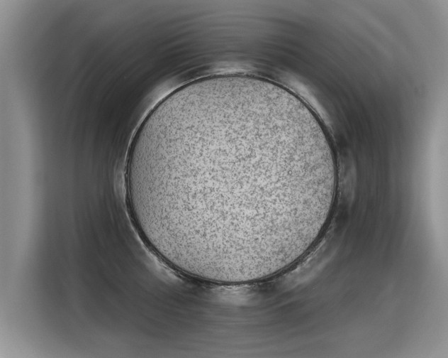 X0000115360810200911101155