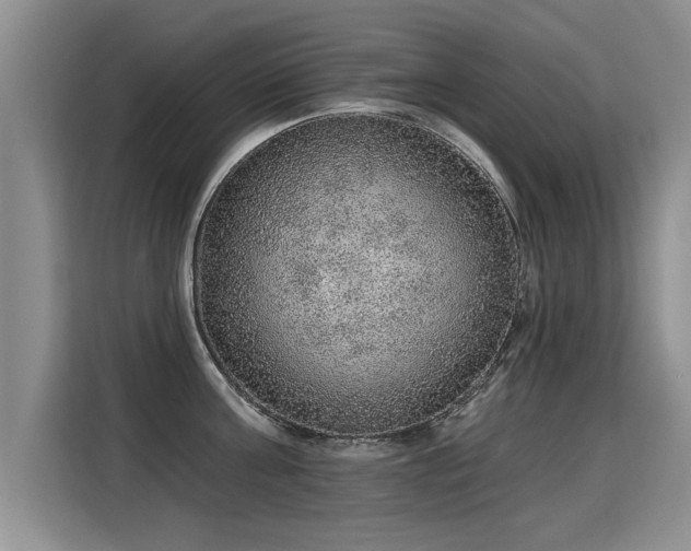X0000115360811200911101155
