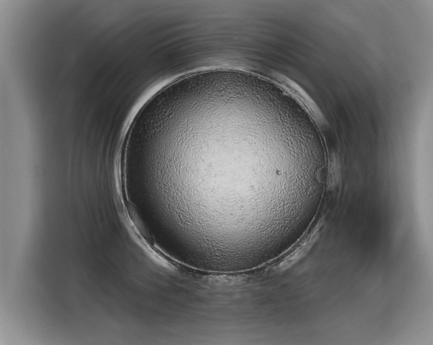 X0000115360812200911101155