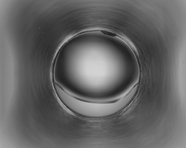 X0000115360813200911101155