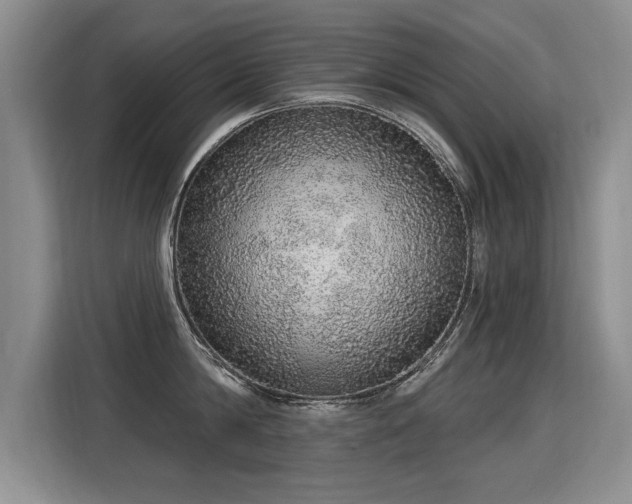 X0000115360814200911101155