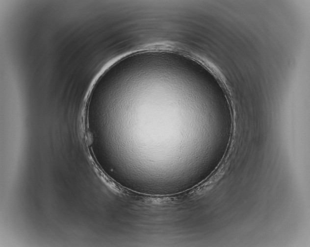 X0000115360816200911101155
