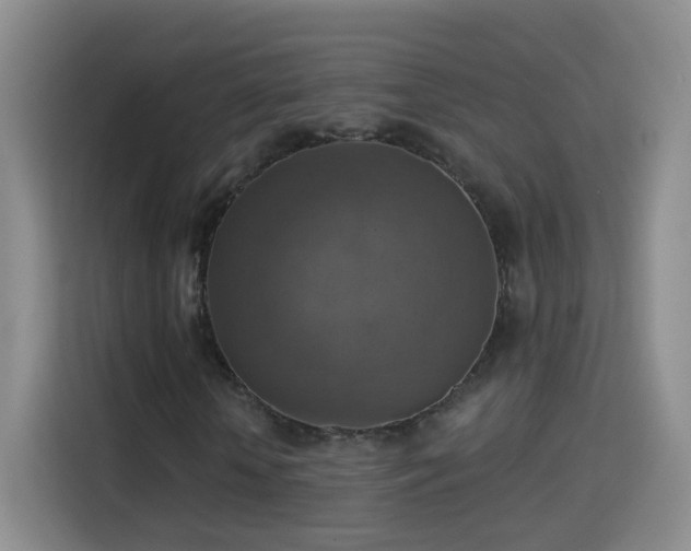 X0000115360818200911101154
