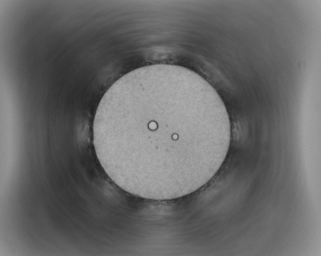 X0000115360820200911101154