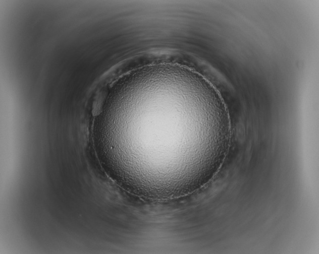 X0000115360821200911101154