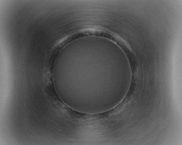 X0000115360822200911101154
