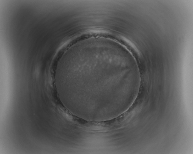 X0000115360823200911101154