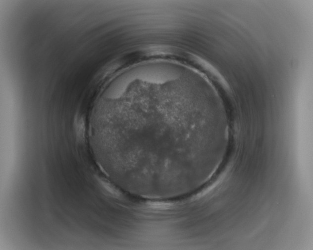 X0000115360825200911101155