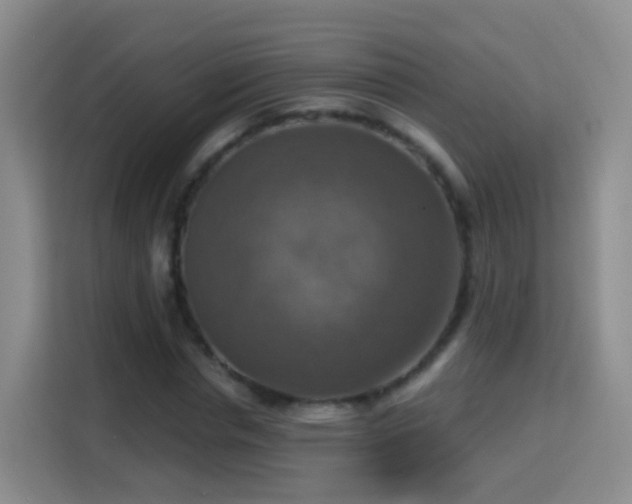 X0000115360826200911101155