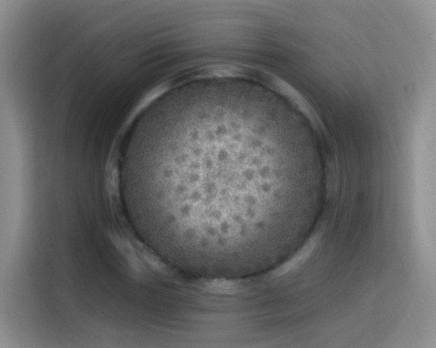 X0000115360827200911101155