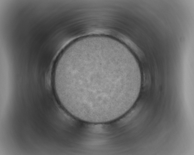 X0000115360828200911101155