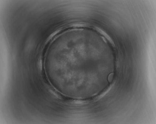 X0000115360829200911101155