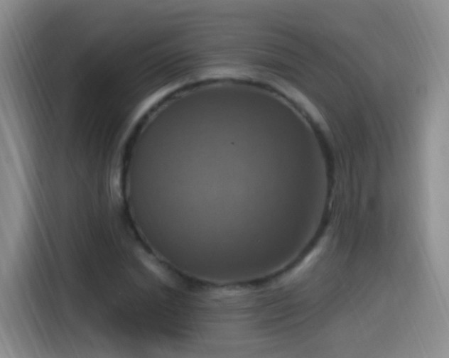 X0000115360830200911101155