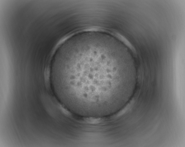 X0000115360831200911101155