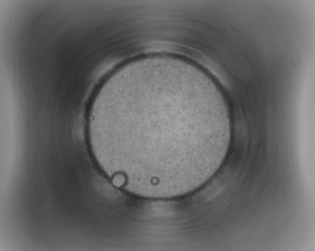 X0000115360832200911101155