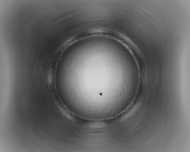 X0000115360833200911101155
