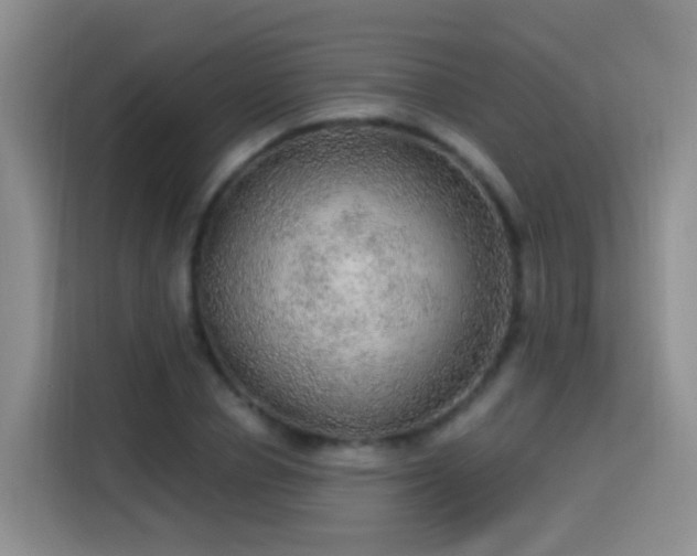 X0000115360834200911101155