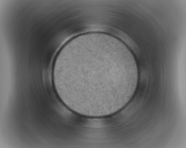 X0000115360836200911101155