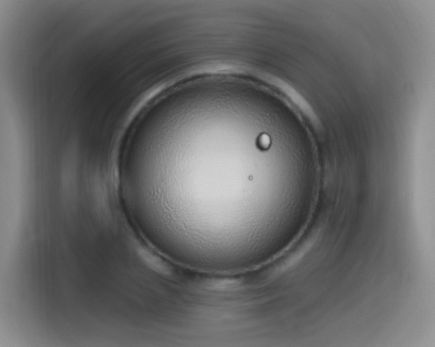 X0000115360837200911101155