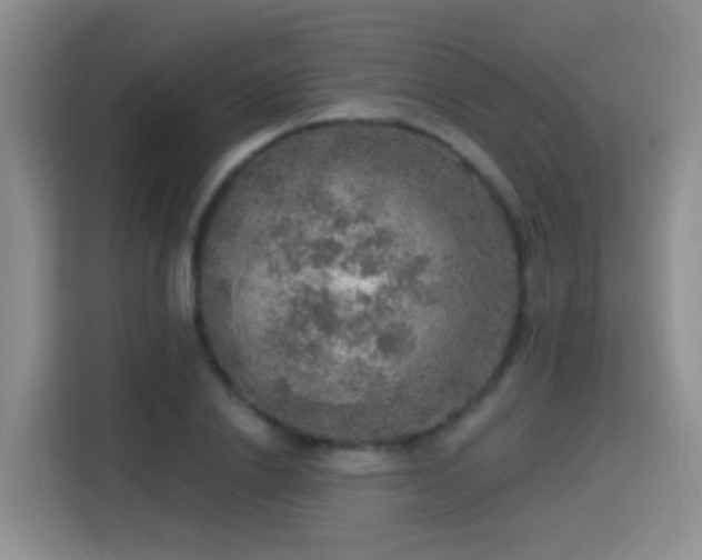 X0000115360838200911101155