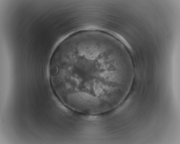 X0000115360839200911101155