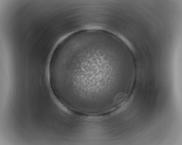 X0000115360840200911101155